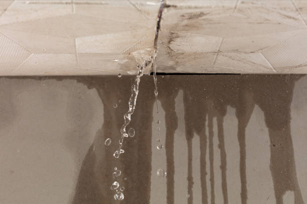 Professional Sewage Cleanup technician working in Docena, AL